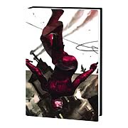 Daredevil Omnibus Volume 1 Hardcover Graphic Novel